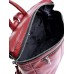 Рюкзак кожаный №801-209